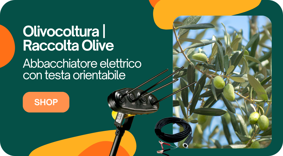 Abbacchiatore elettrico.png